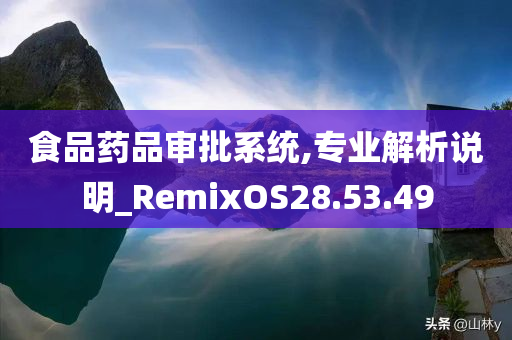 食品药品审批系统,专业解析说明_RemixOS28.53.49