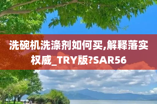 洗碗机洗涤剂如何买,解释落实权威_TRY版?SAR56