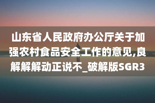 山东省人民政府办公厅关于加强农村食品安全工作的意见,良解解解动正说不_破解版SGR3