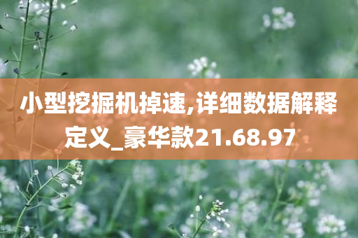 小型挖掘机掉速,详细数据解释定义_豪华款21.68.97