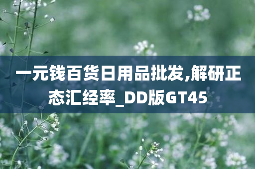 一元钱百货日用品批发,解研正态汇经率_DD版GT45