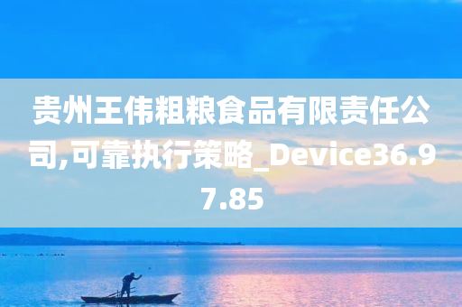 贵州王伟粗粮食品有限责任公司,可靠执行策略_Device36.97.85