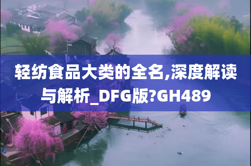 轻纺食品大类的全名,深度解读与解析_DFG版?GH489