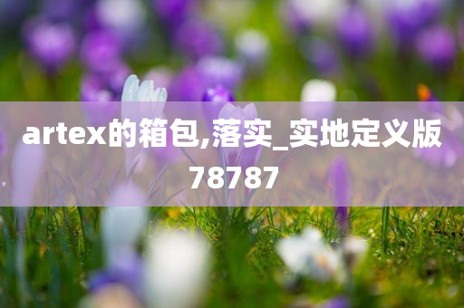 artex的箱包,落实_实地定义版78787