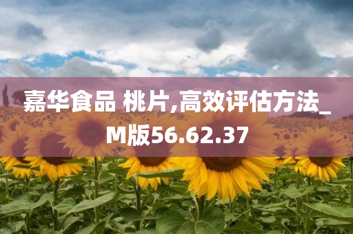 嘉华食品 桃片,高效评估方法_M版56.62.37