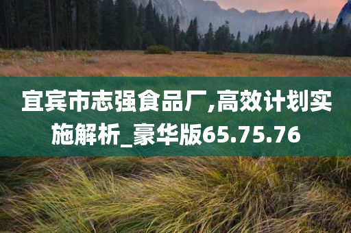 宜宾市志强食品厂,高效计划实施解析_豪华版65.75.76