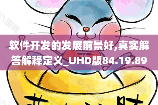 软件开发的发展前景好,真实解答解释定义_UHD版84.19.89