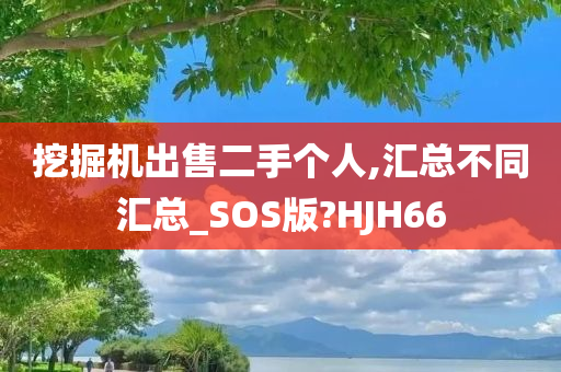 挖掘机出售二手个人,汇总不同汇总_SOS版?HJH66