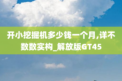 开小挖掘机多少钱一个月,详不数数实构_解放版GT45