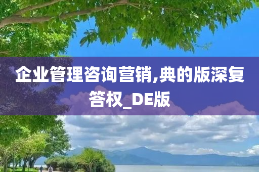 企业管理咨询营销,典的版深复答权_DE版