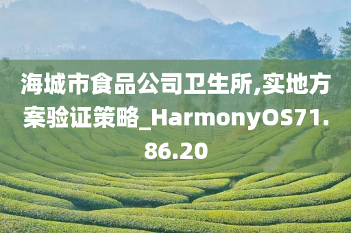 海城市食品公司卫生所,实地方案验证策略_HarmonyOS71.86.20