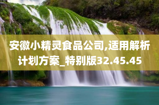 安徽小精灵食品公司,适用解析计划方案_特别版32.45.45