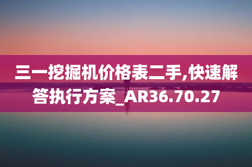 三一挖掘机价格表二手,快速解答执行方案_AR36.70.27