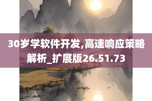 30岁学软件开发,高速响应策略解析_扩展版26.51.73