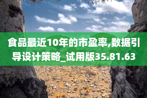 食品最近10年的市盈率,数据引导设计策略_试用版35.81.63