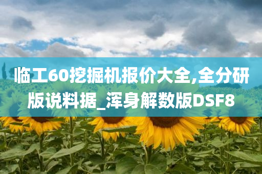 临工60挖掘机报价大全,全分研版说料据_浑身解数版DSF8