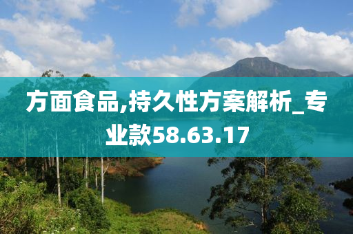 方面食品,持久性方案解析_专业款58.63.17