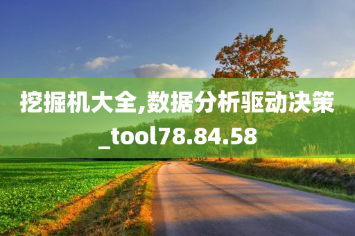 挖掘机大全,数据分析驱动决策_tool78.84.58