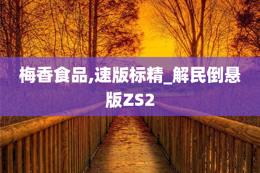 梅香食品,速版标精_解民倒悬版ZS2