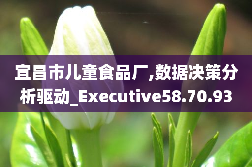 宜昌市儿童食品厂,数据决策分析驱动_Executive58.70.93