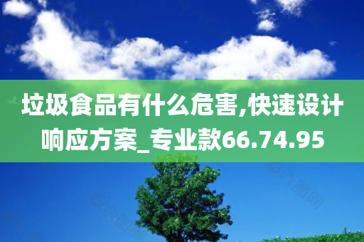 垃圾食品有什么危害,快速设计响应方案_专业款66.74.95