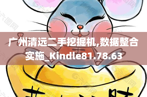 广州清远二手挖掘机,数据整合实施_Kindle81.78.63