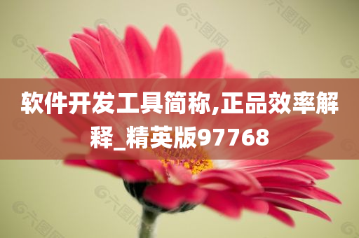 软件开发工具简称,正品效率解释_精英版97768