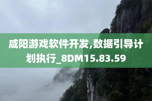 咸阳游戏软件开发,数据引导计划执行_8DM15.83.59