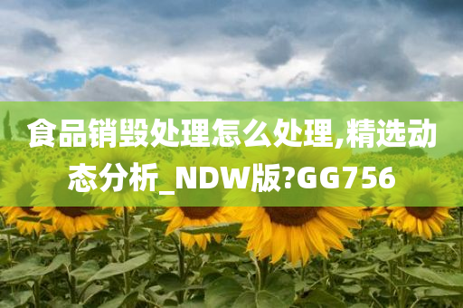 食品销毁处理怎么处理,精选动态分析_NDW版?GG756