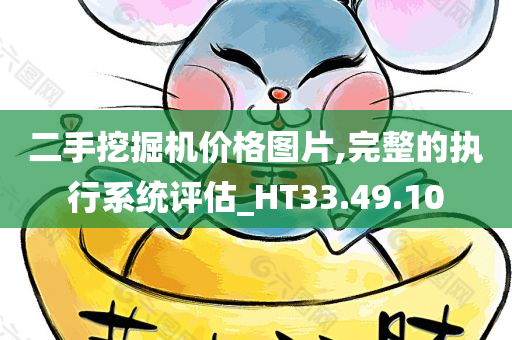 二手挖掘机价格图片,完整的执行系统评估_HT33.49.10