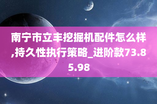 南宁市立丰挖掘机配件怎么样,持久性执行策略_进阶款73.85.98