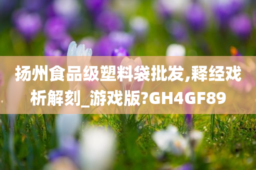 扬州食品级塑料袋批发,释经戏析解刻_游戏版?GH4GF89