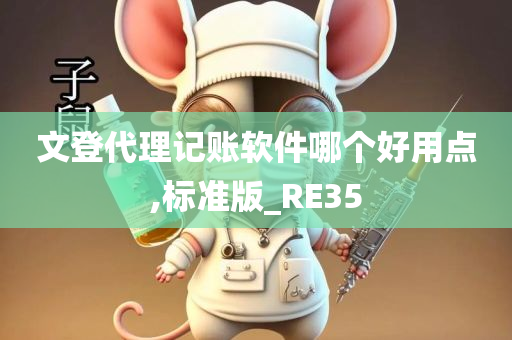 文登代理记账软件哪个好用点,标准版_RE35