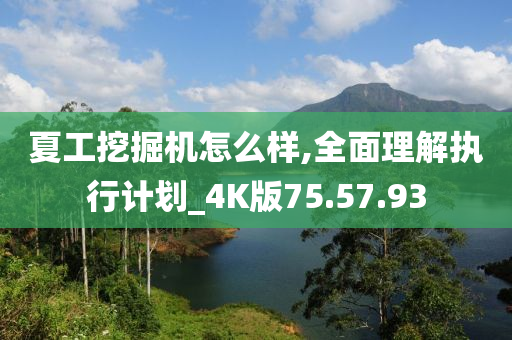 夏工挖掘机怎么样,全面理解执行计划_4K版75.57.93