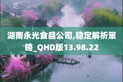 湖南永光食品公司,稳定解析策略_QHD版13.98.22