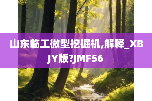 山东临工微型挖掘机,解释_XBJY版?JMF56