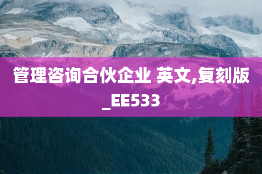 管理咨询合伙企业 英文,复刻版_EE533