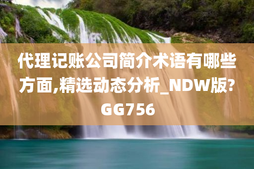 代理记账公司简介术语有哪些方面,精选动态分析_NDW版?GG756