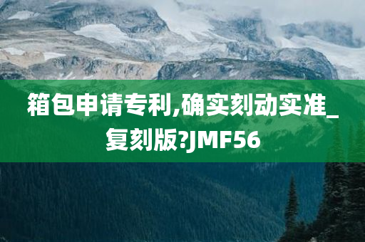 箱包申请专利,确实刻动实准_复刻版?JMF56