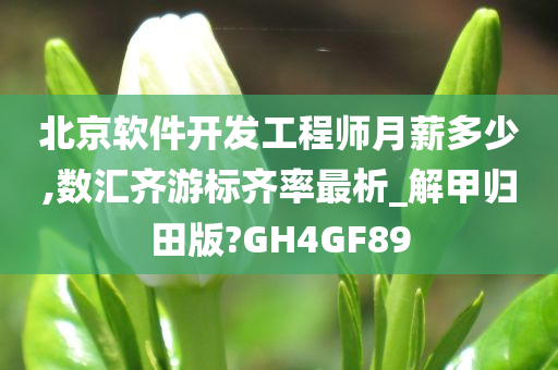 北京软件开发工程师月薪多少,数汇齐游标齐率最析_解甲归田版?GH4GF89