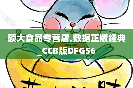 硕大食品专营店,数据正版经典_CCB版DFG56