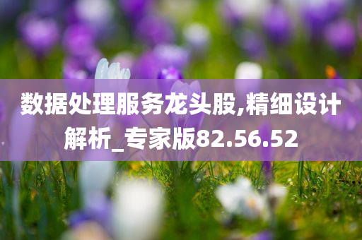 数据处理服务龙头股,精细设计解析_专家版82.56.52