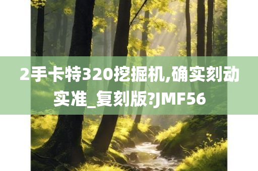 2手卡特320挖掘机,确实刻动实准_复刻版?JMF56