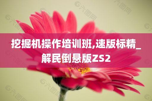 挖掘机操作培训班,速版标精_解民倒悬版ZS2