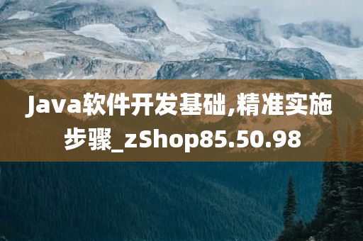 Java软件开发基础,精准实施步骤_zShop85.50.98