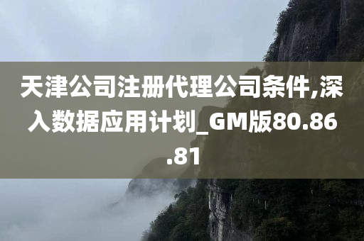 天津公司注册代理公司条件,深入数据应用计划_GM版80.86.81