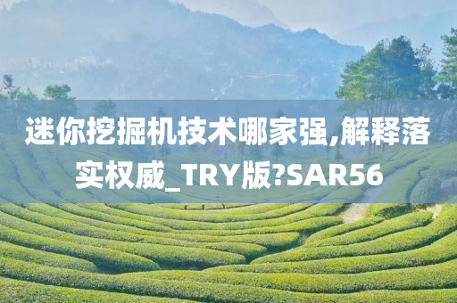 迷你挖掘机技术哪家强,解释落实权威_TRY版?SAR56