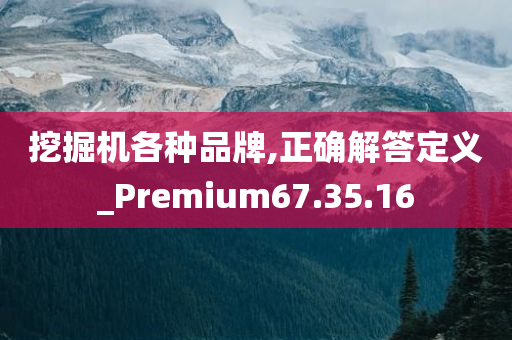 挖掘机各种品牌,正确解答定义_Premium67.35.16