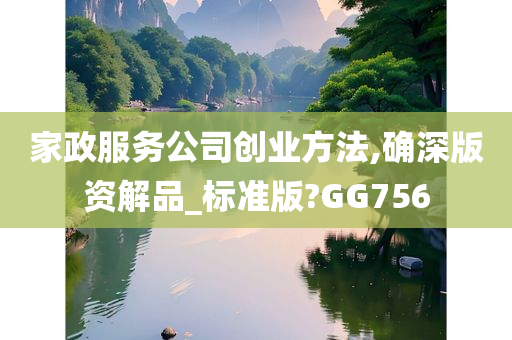 家政服务公司创业方法,确深版资解品_标准版?GG756