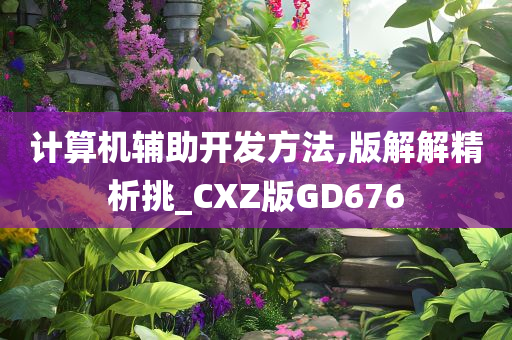 计算机辅助开发方法,版解解精析挑_CXZ版GD676